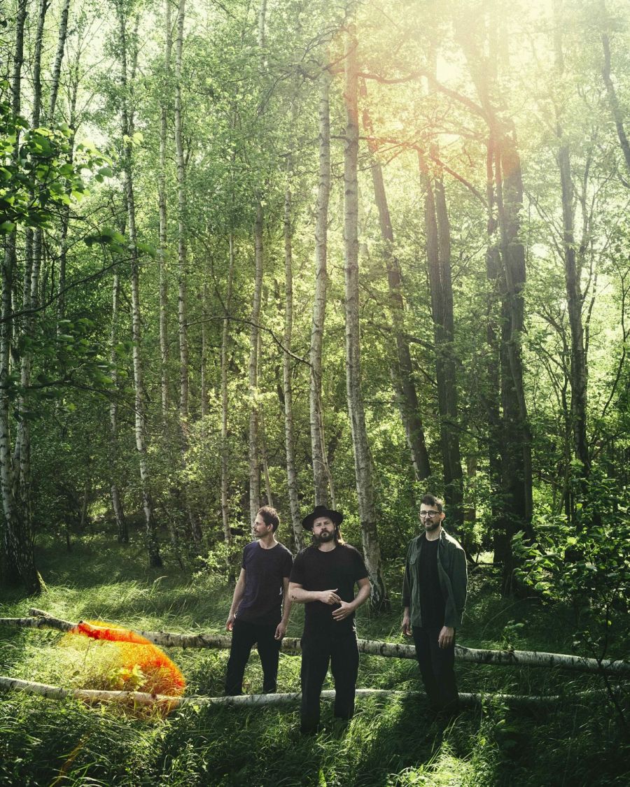 Die drei Musiker von Mighty Oaks stehen in einem sonnendurchfluteten Wald mit hohen Birkenbäumen. Sie sind schlicht in dunkler Kleidung gekleidet, der mittlere Mann trägt einen schwarzen Hut. Hinter ihnen liegen zwei umgestürzte Birkenstämme.